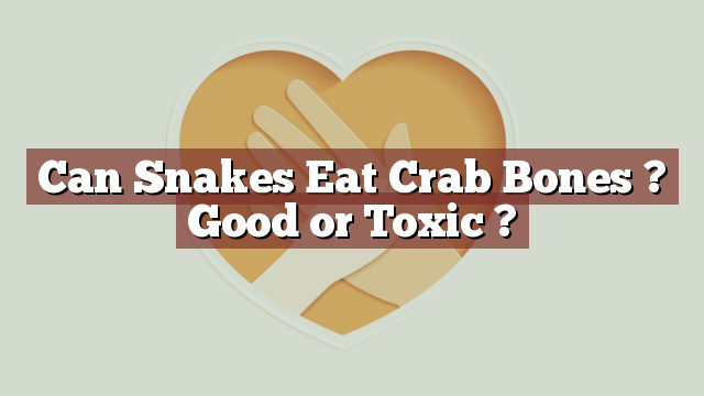 Can Snakes Eat Crab Bones ? Good or Toxic ?