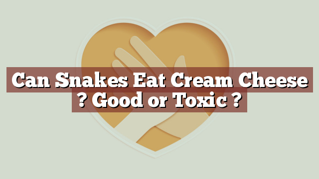 Can Snakes Eat Cream Cheese ? Good or Toxic ?