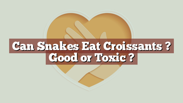 Can Snakes Eat Croissants ? Good or Toxic ?