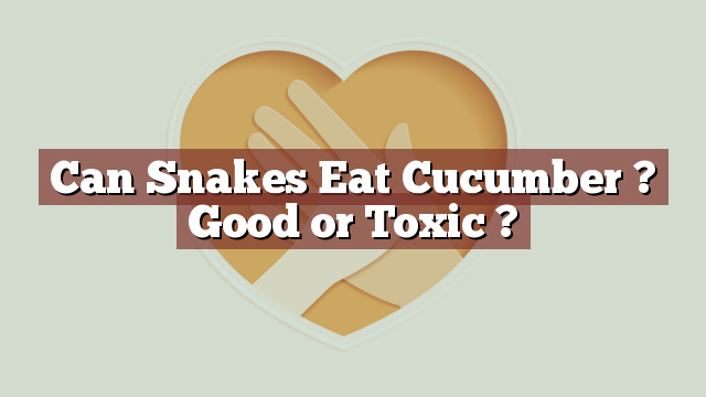 Can Snakes Eat Cucumber ? Good or Toxic ?