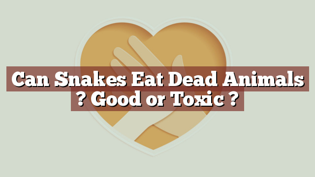 Can Snakes Eat Dead Animals ? Good or Toxic ?