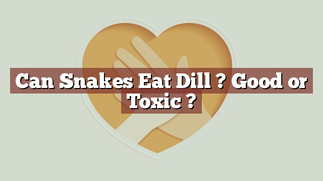 Can Snakes Eat Dill ? Good or Toxic ?