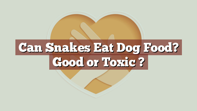 Can Snakes Eat Dog Food? Good or Toxic ?
