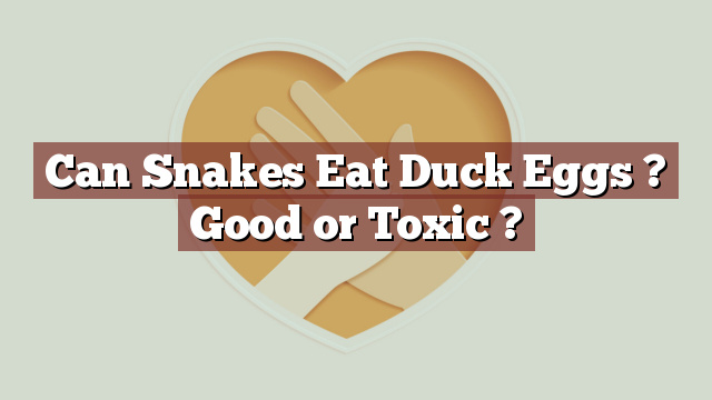 Can Snakes Eat Duck Eggs ? Good or Toxic ?