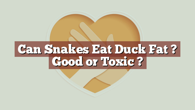 Can Snakes Eat Duck Fat ? Good or Toxic ?