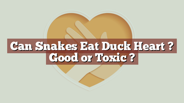 Can Snakes Eat Duck Heart ? Good or Toxic ?