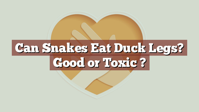 Can Snakes Eat Duck Legs? Good or Toxic ?