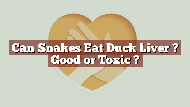 Can Snakes Eat Duck Liver ? Good or Toxic ?