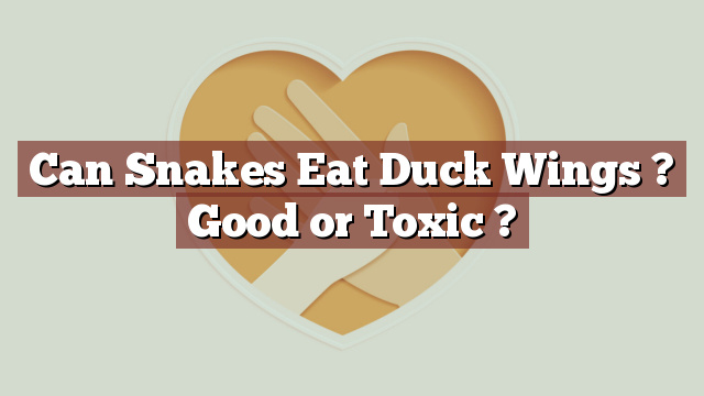 Can Snakes Eat Duck Wings ? Good or Toxic ?