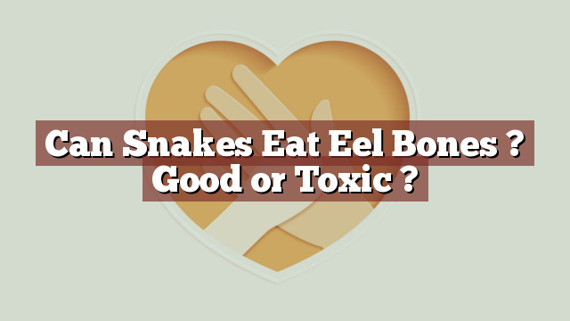 Can Snakes Eat Eel Bones ? Good or Toxic ?