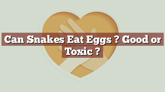 Can Snakes Eat Eggs ? Good or Toxic ?
