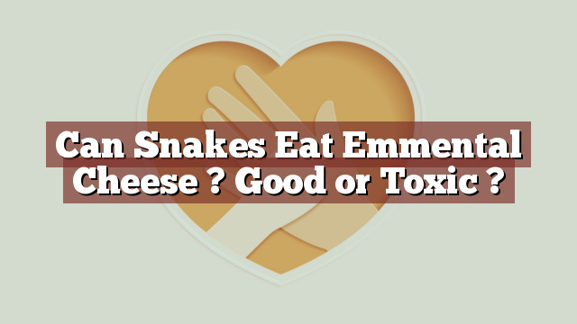Can Snakes Eat Emmental Cheese ? Good or Toxic ?