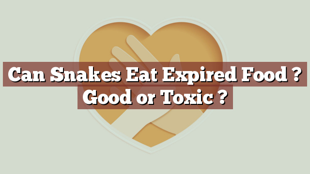 Can Snakes Eat Expired Food ? Good or Toxic ?