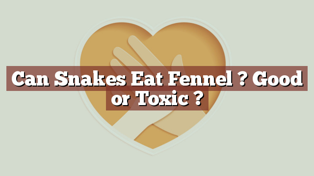 Can Snakes Eat Fennel ? Good or Toxic ?