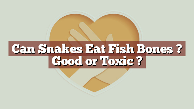 Can Snakes Eat Fish Bones ? Good or Toxic ?