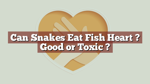Can Snakes Eat Fish Heart ? Good or Toxic ?