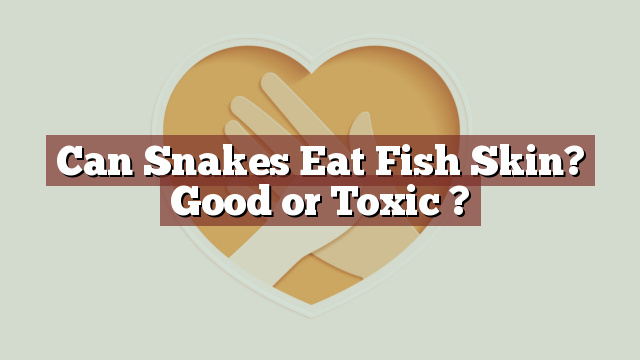Can Snakes Eat Fish Skin? Good or Toxic ?