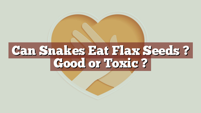 Can Snakes Eat Flax Seeds ? Good or Toxic ?