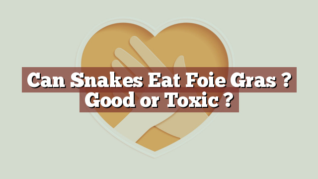 Can Snakes Eat Foie Gras ? Good or Toxic ?