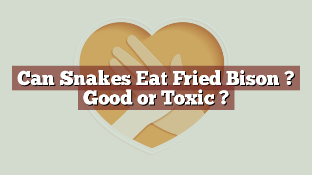 Can Snakes Eat Fried Bison ? Good or Toxic ?