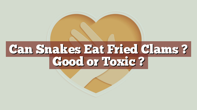 Can Snakes Eat Fried Clams ? Good or Toxic ?