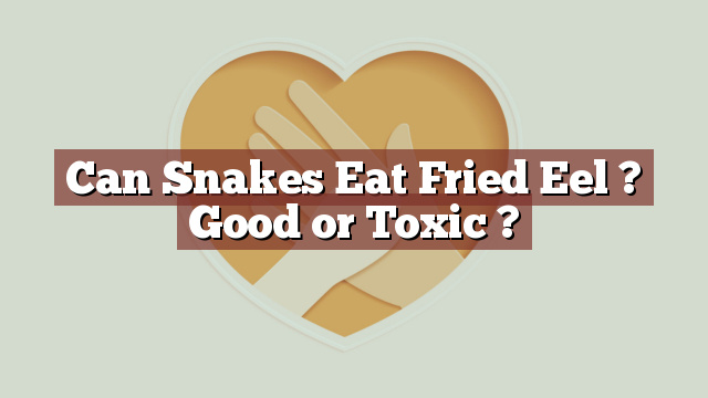Can Snakes Eat Fried Eel ? Good or Toxic ?