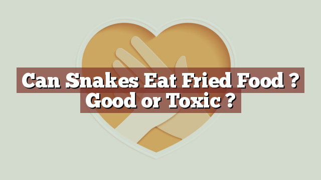 Can Snakes Eat Fried Food ? Good or Toxic ?