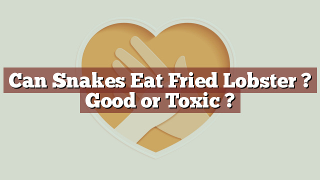 Can Snakes Eat Fried Lobster ? Good or Toxic ?