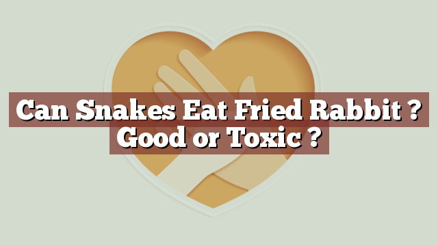 Can Snakes Eat Fried Rabbit ? Good or Toxic ?
