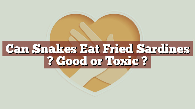 Can Snakes Eat Fried Sardines ? Good or Toxic ?