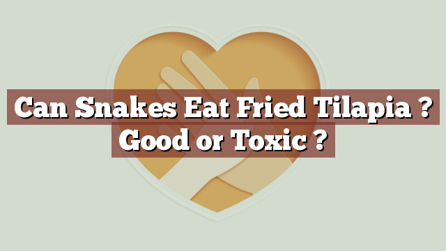 Can Snakes Eat Fried Tilapia ? Good or Toxic ?
