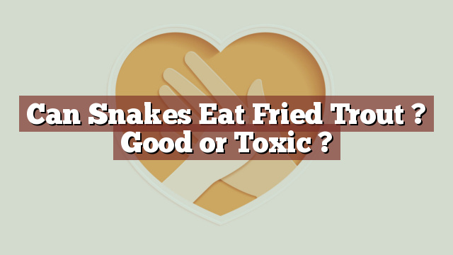 Can Snakes Eat Fried Trout ? Good or Toxic ?