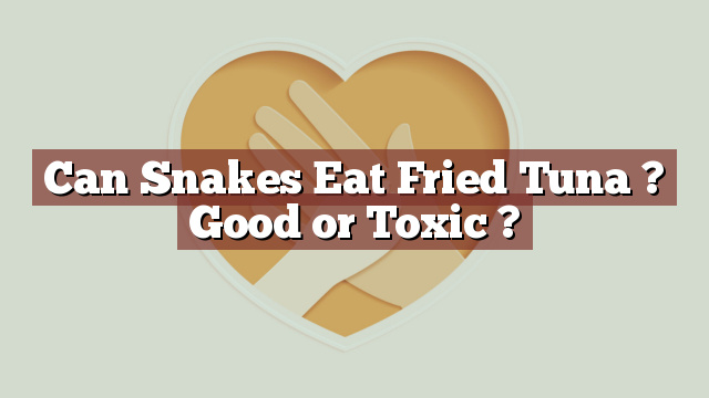 Can Snakes Eat Fried Tuna ? Good or Toxic ?