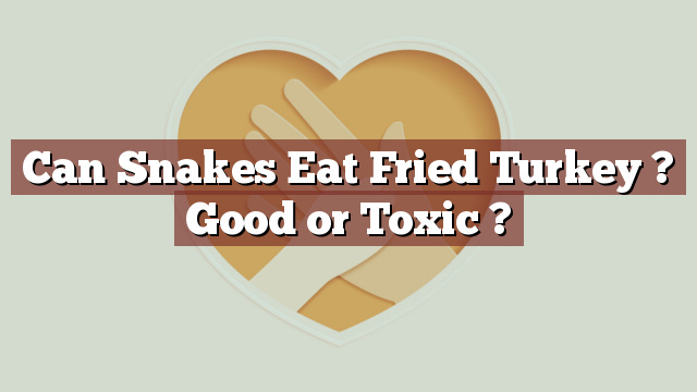 Can Snakes Eat Fried Turkey ? Good or Toxic ?