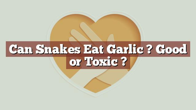 Can Snakes Eat Garlic ? Good or Toxic ?