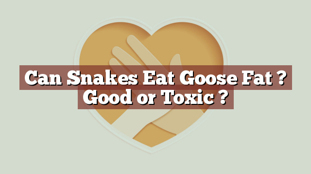 Can Snakes Eat Goose Fat ? Good or Toxic ?