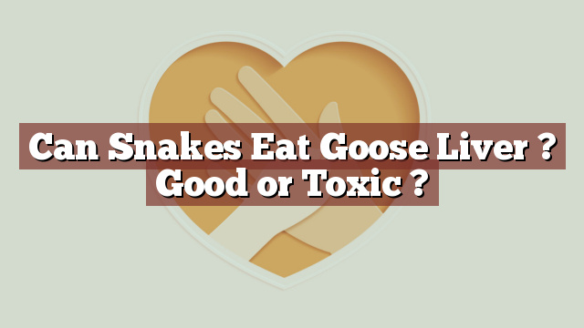 Can Snakes Eat Goose Liver ? Good or Toxic ?