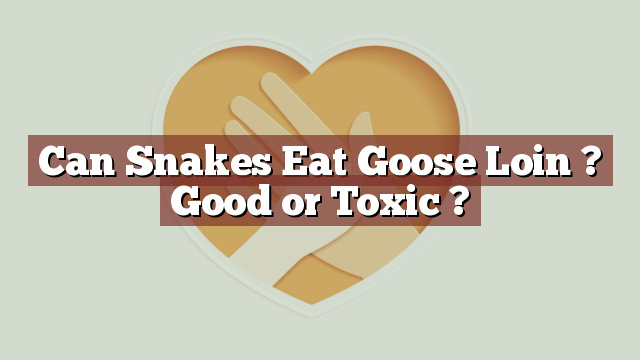 Can Snakes Eat Goose Loin ? Good or Toxic ?