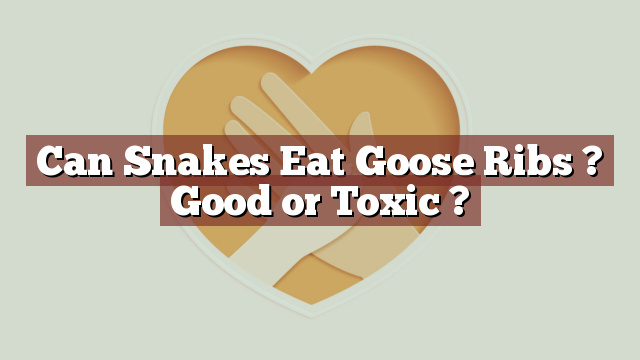 Can Snakes Eat Goose Ribs ? Good or Toxic ?