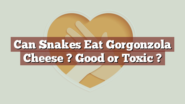 Can Snakes Eat Gorgonzola Cheese ? Good or Toxic ?