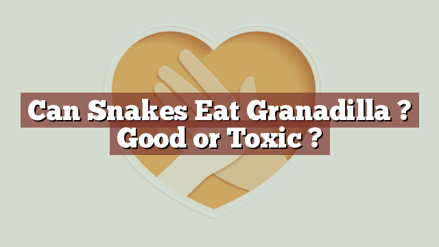 Can Snakes Eat Granadilla ? Good or Toxic ?