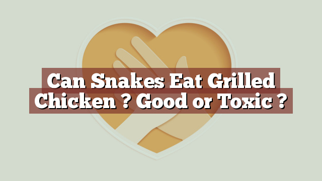 Can Snakes Eat Grilled Chicken ? Good or Toxic ?