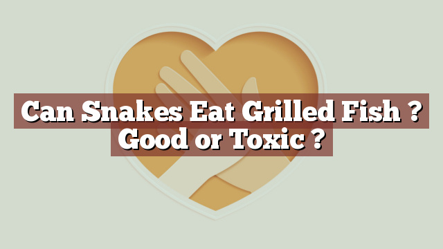Can Snakes Eat Grilled Fish ? Good or Toxic ?