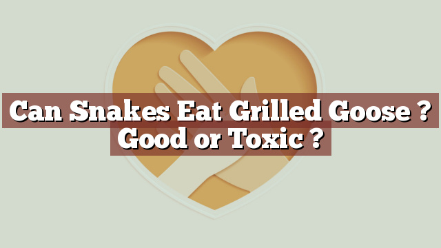 Can Snakes Eat Grilled Goose ? Good or Toxic ?