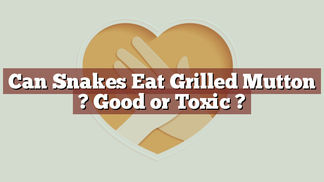 Can Snakes Eat Grilled Mutton ? Good or Toxic ?