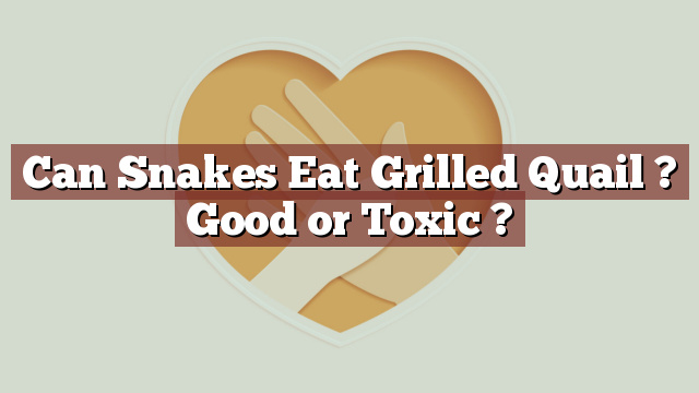Can Snakes Eat Grilled Quail ? Good or Toxic ?