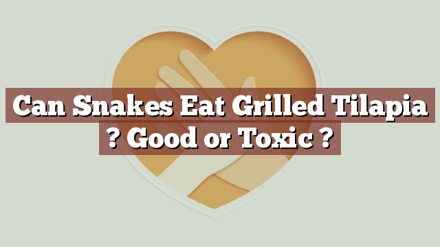 Can Snakes Eat Grilled Tilapia ? Good or Toxic ?