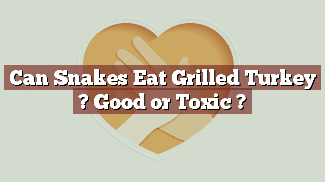 Can Snakes Eat Grilled Turkey ? Good or Toxic ?