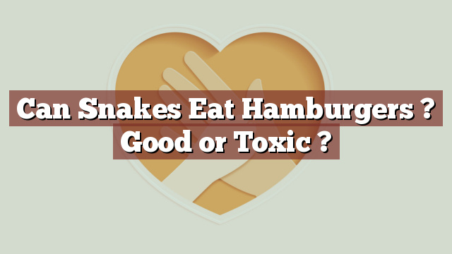 Can Snakes Eat Hamburgers ? Good or Toxic ?