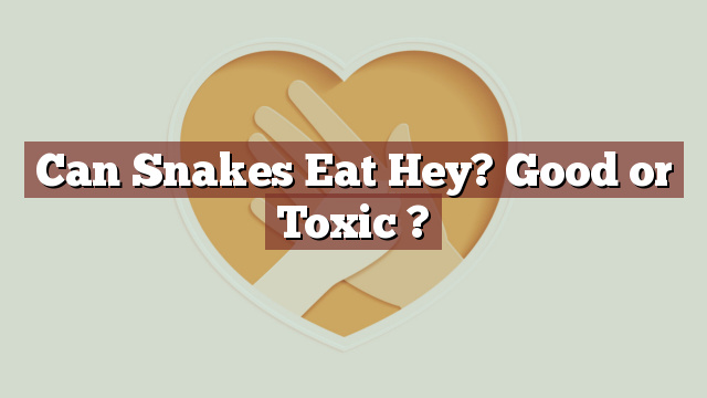 Can Snakes Eat Hey? Good or Toxic ?